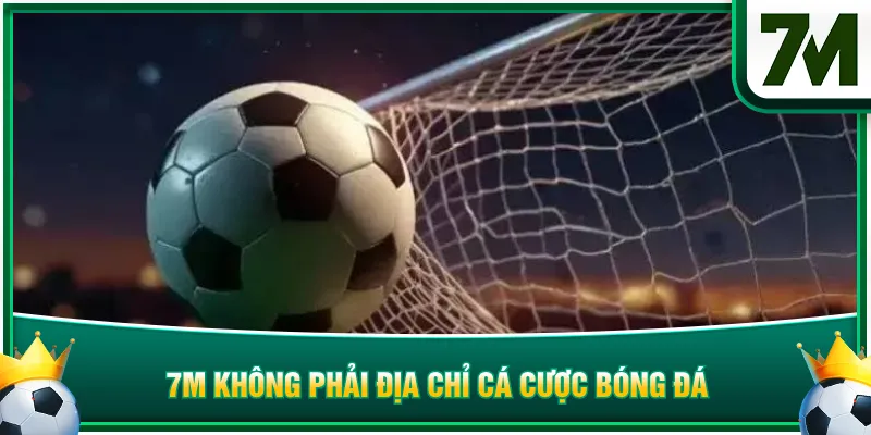 7M không phải địa chỉ cá cược bóng đá