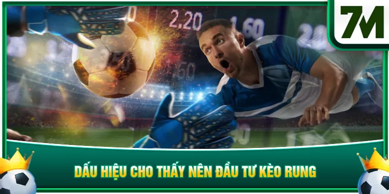 Dấu hiệu cho thấy nên đầu tư kèo rung