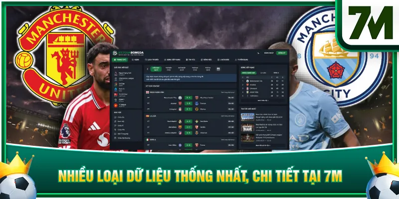 Nhiều loại dữ liệu thống nhất, chi tiết tại 7M
